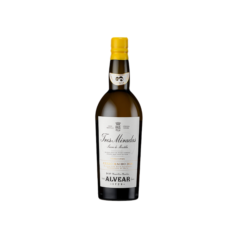 Image of Alvear 3 Miradas Cerro Macho 2021