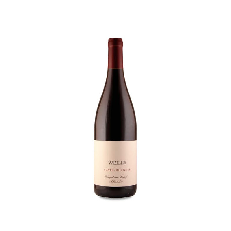 Image of Weingut am Schlipf Schneider Weil am Rhein Ortswein Spätburgunder 2023