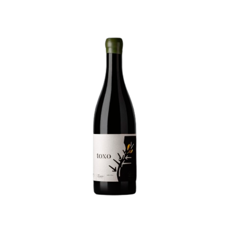 Olga Verde Toxo Villa de San Clemente 2023