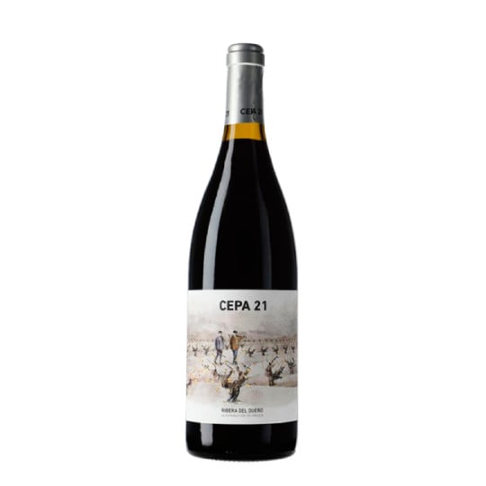 Cepa 21 2023