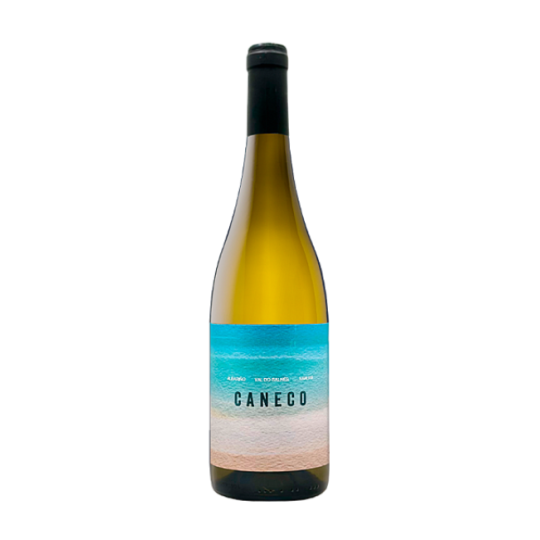 Caneco 2025