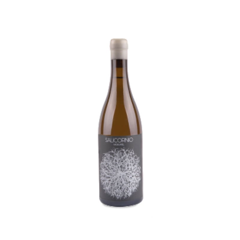 Casa Balaguer Salicornio Moscatel 2025