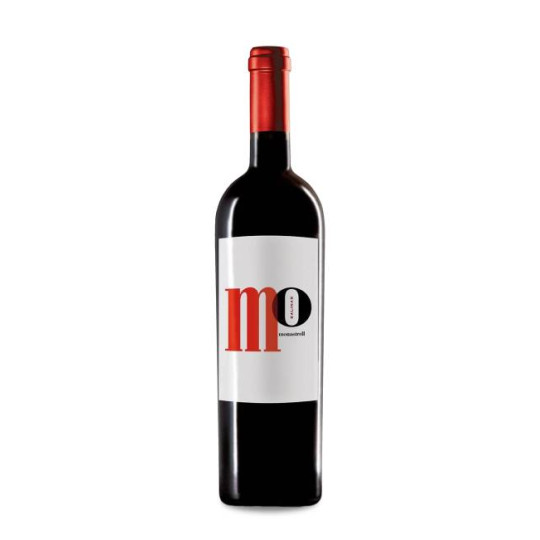 Mo Salinas 2023