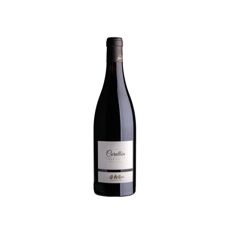 José Antonio García Viticultor Corullón Vino de Villa 2024
