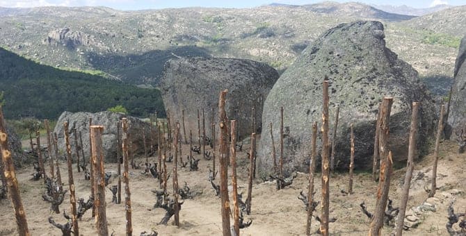 Der Einfluss verschiedener Böden auf den Wein: Der Granit