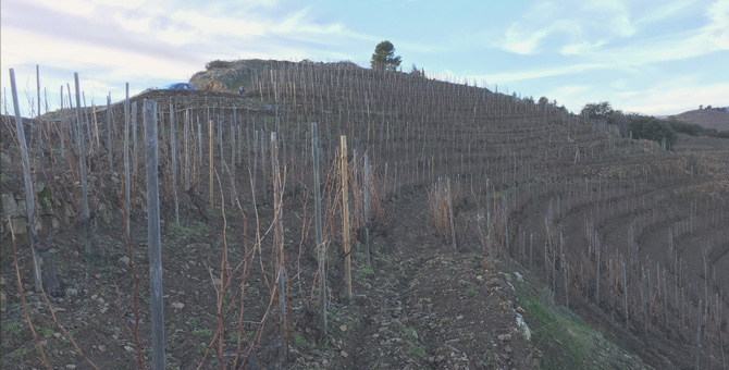 pizarra