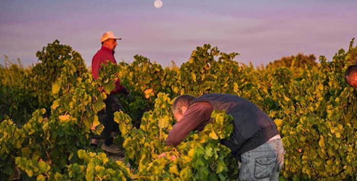 Das, von Parker erkannte, Potenzial der Garnachas aus Gredos