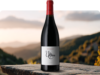 DO Bierzo